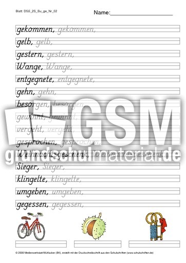 DSS_2S_Bu_ge_Nr_02.pdf